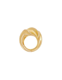 Paint Stroke Ring