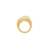 Pebble Ring